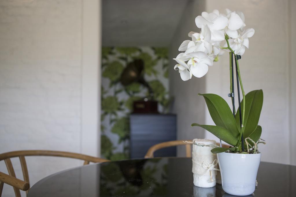 Orchidea Villa Beverino Exterior photo